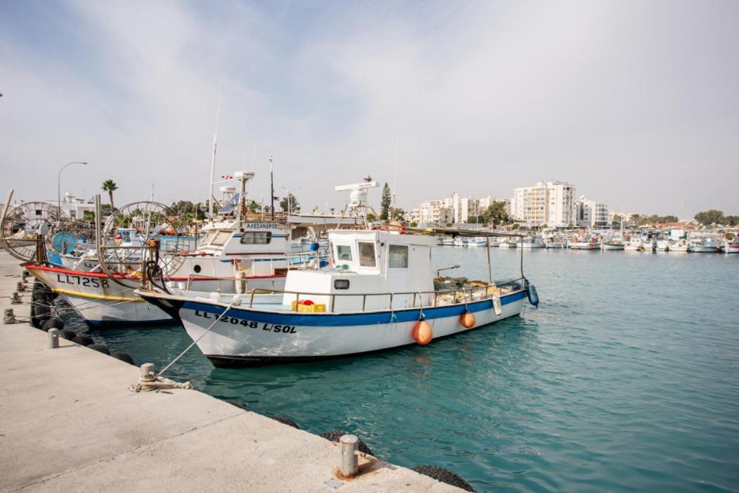 Olive Island * Larnaca